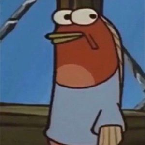 Meet your Posher, Beau